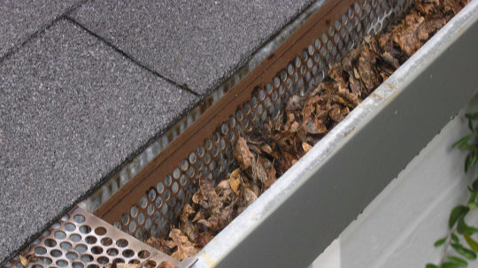 Image of leaves in gutter